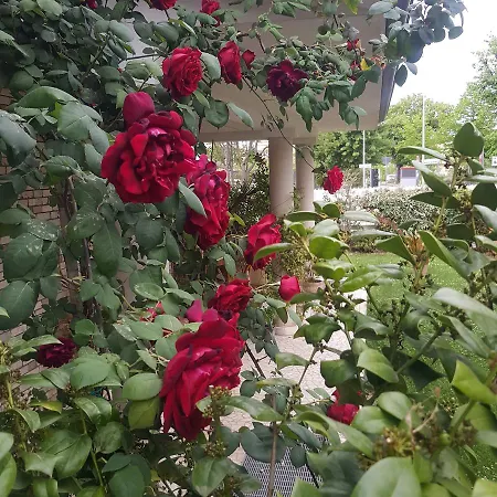 Gioia Frühstückspension