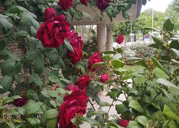 Gioia Bed & Breakfast