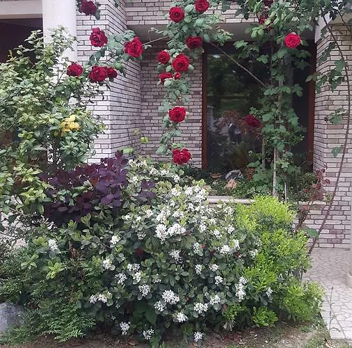 Bed & Breakfast Gioia Montegranaro